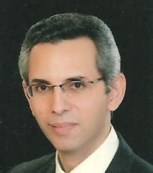 د. عبد الهادى الشامى Dr. Abdelhady Elshamy