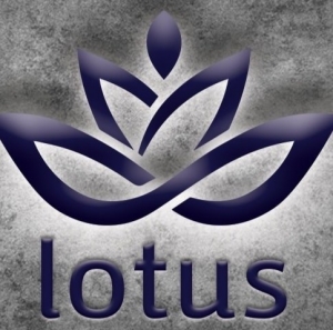 مركز اللوتس markaz lotus