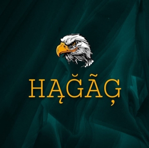 حجاج جروب - Hagag Group