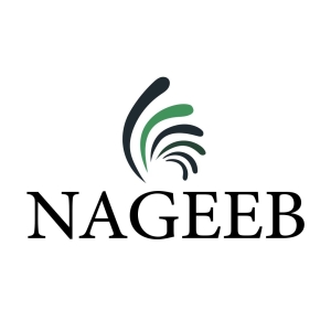Nageeb For modern lighting